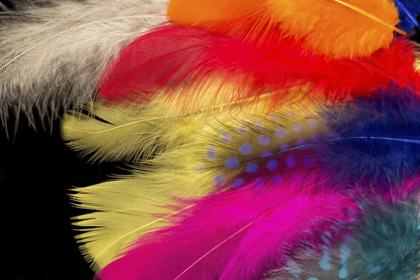 Красочные перья фон — стоковое фото