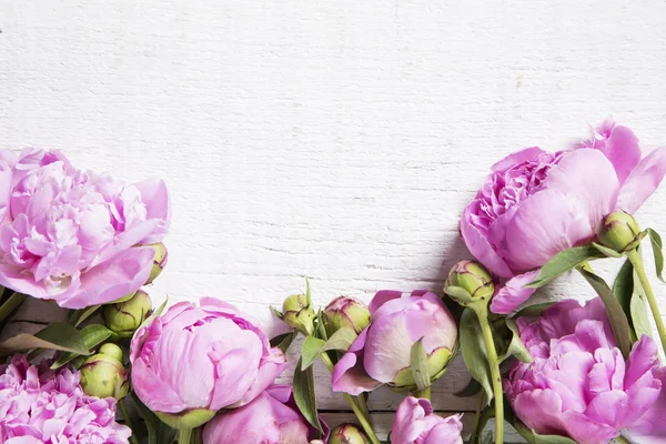 Pembe peonies arka plan