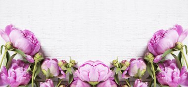 Pembe peonies arka plan