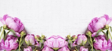 Pink peonies background clipart