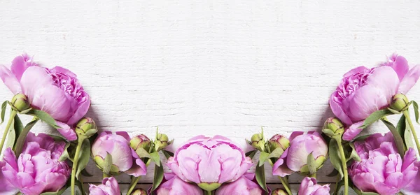 Pembe peonies arka plan