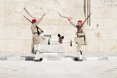 17 Mayıs Yunan Parlamentosu önünde muhafızı. 2014. Atina