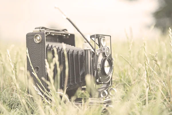 Vintage camera in a grass — Stock Photo, Image