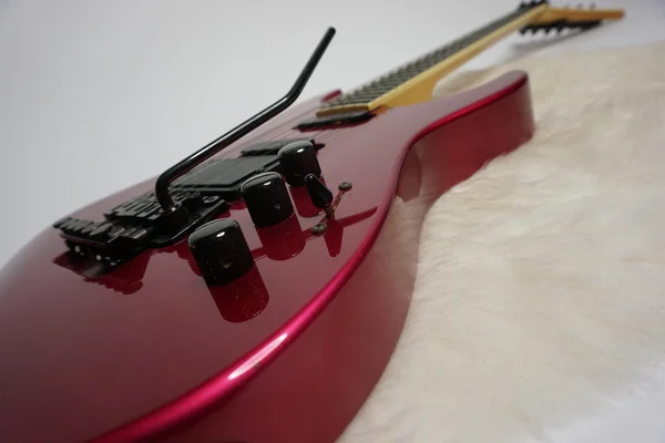 electric guitar on lamb skin