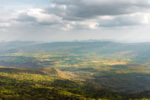 Doğal üstten görünüm kaplı orman orman duman tarafından ateş bulutlu yaz gününde.