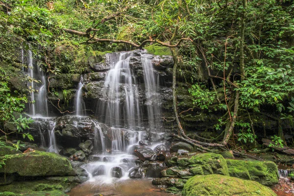 Cachoeira pequena agradável na floresta — Fotografia de Stock