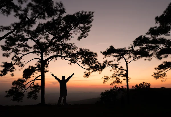 Adam sperading silueti el çam ağacı günbatımı Manzaralı. 