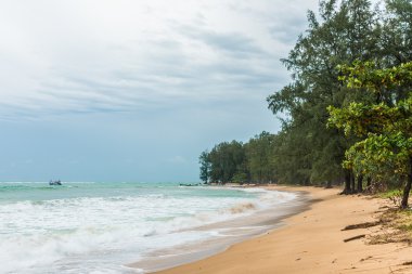 Phuket, Tayland için yağmurlu bir gün sahilde yanı sıra orman.