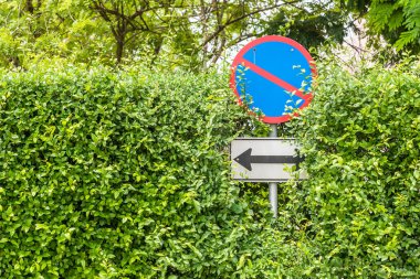 Yeşil yaprakları duvar hiçbir Park işareti.