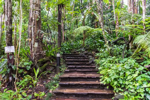 Stairway in a park. — Stock Photo, Image