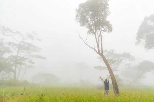 Mujer estaba extendiendo la mano para relajarse en el bosque que estaba cubierto por la niebla en la mañana . — Foto de Stock