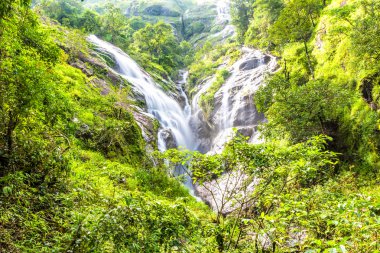 Kalp şeklinde şelale. Pitugro şelale bulun derin orman Umpang içinde Tayland.