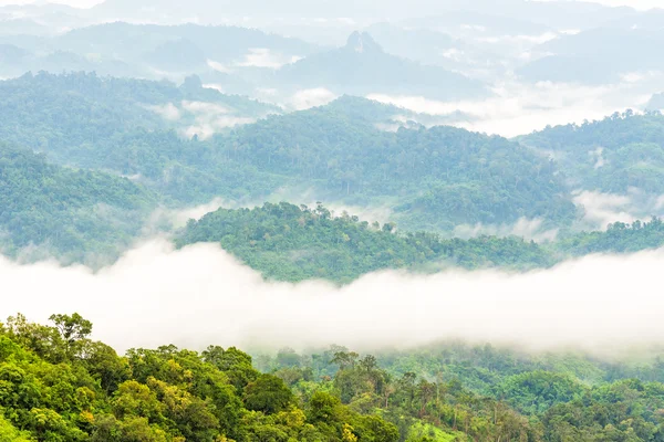 Yeşil yağmur ormanları ile sabah düşük bulutu ve sis Dağı'nda. Umpang, Tayland.