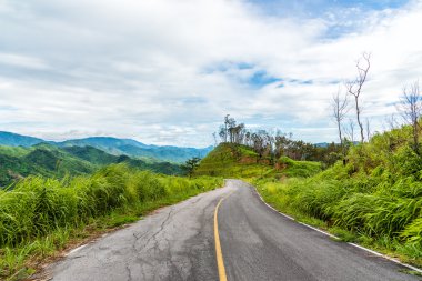Bulut gökyüzü ile dağda yeşil orman boş eğri asfalt yolda