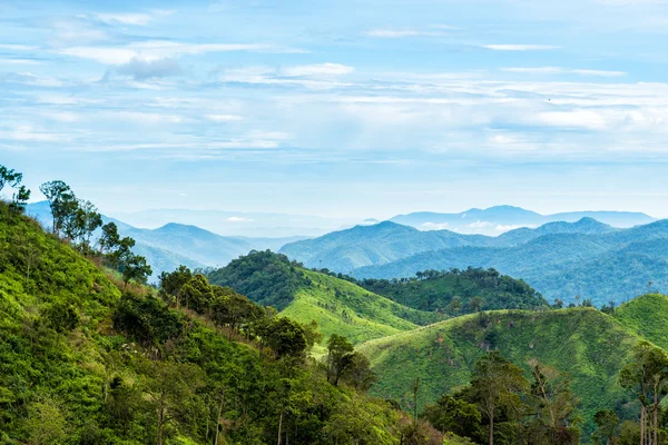 Зеленый лес на горном хребте пейзаж с голубым и облачным небом — стоковое фото