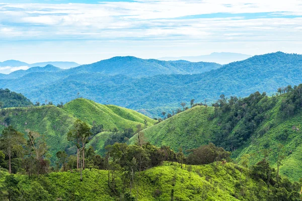 Зеленый лес на горном хребте пейзаж с голубым и облачным небом — стоковое фото