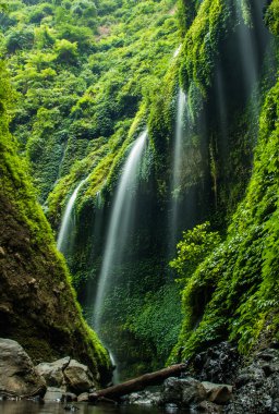 Madakaripura şelale. Endonezya.