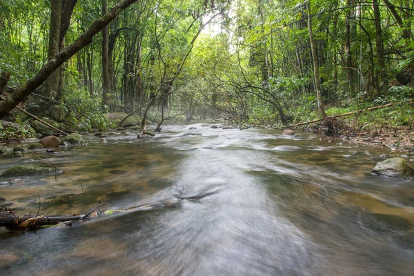 Río profundo en la selva tropical de montaña . — Foto de Stock