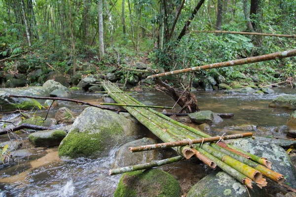 Пейзаж з бамбуковим мостом над річкою і лісом — стокове фото