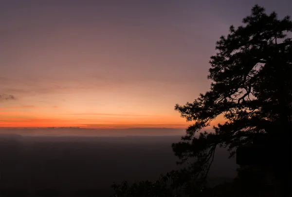 Cenário de céu de pôr-do-sol com silhueta de pinheiros . — Fotografia de Stock