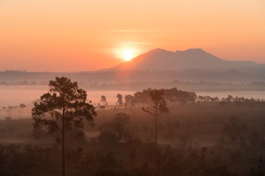 Sabah yukarıda puslu orman ve dağ Sunrise.