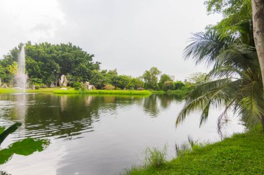 bir su birikintisi ile tropikal park