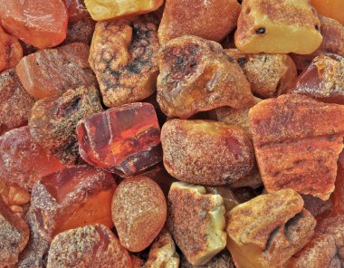 Baltık amber, reçine kesimleri