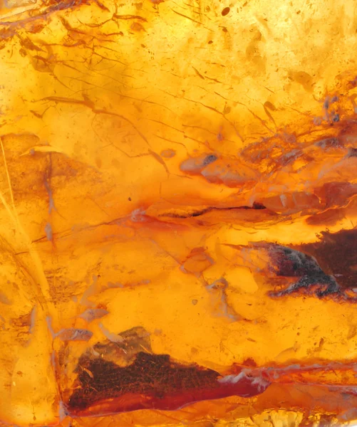 Baltık amber, reçine kesimleri — Stok fotoğraf
