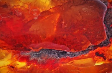 Baltık amber, reçine kesimleri