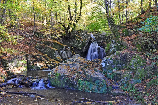 Montanha Pequena Cachoeira Uma Floresta — Fotografia de Stock