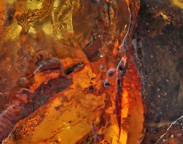 Γυαλισμένο Όμορφο Απολίθωμα Κεχριμπαριού Βαλτικής Πολύτιμο — Φωτογραφία Αρχείου