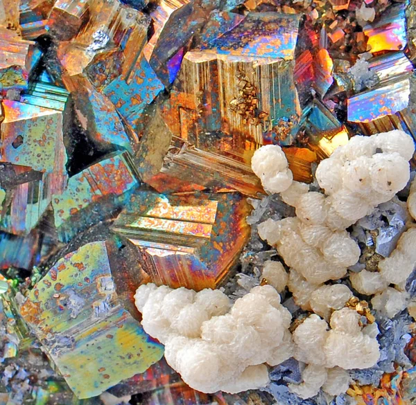 Pyrite Chalcopyrite Beaux Cubes Simples — Photo