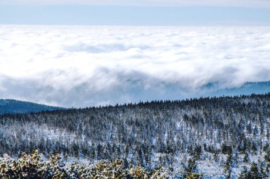 Polonya 'daki karlı dağların panoramik manzarası