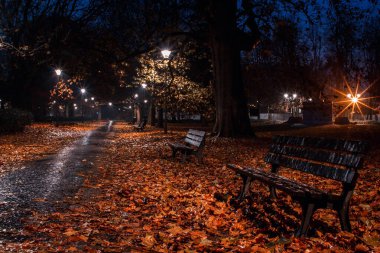 Polonya 'da Wroclaw' daki akşam parkı sokağı