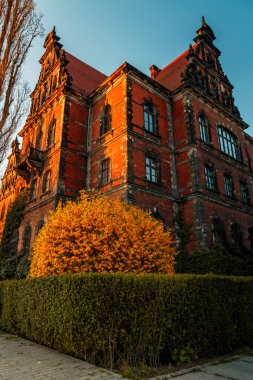 Polonya 'daki Wroclaw şehrinin bahar manzarası.