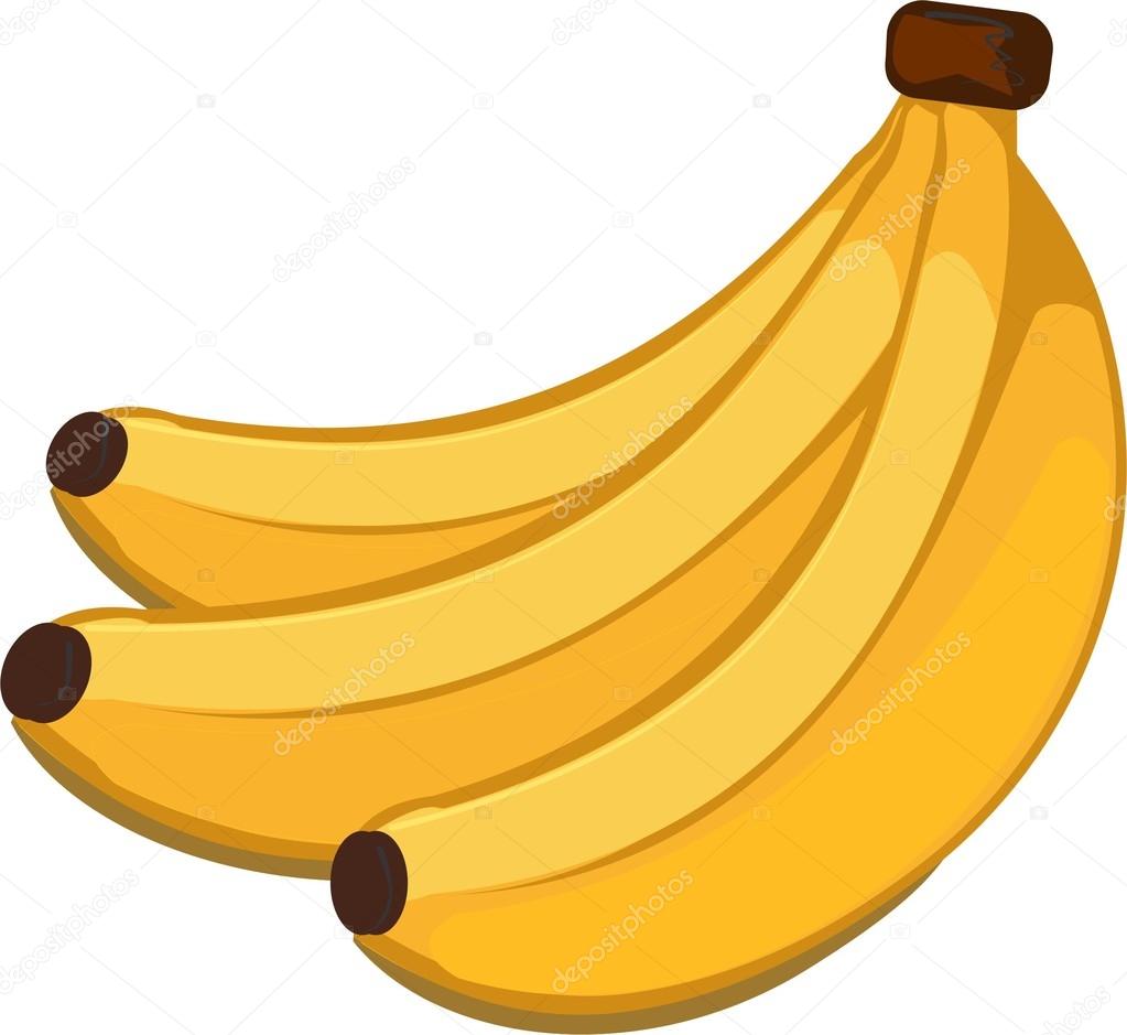 The banana is an edible fruit, botanically a berry