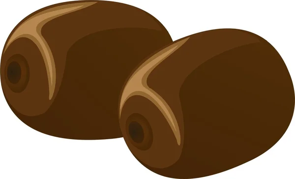 Le kiwi est un fruit — Image vectorielle