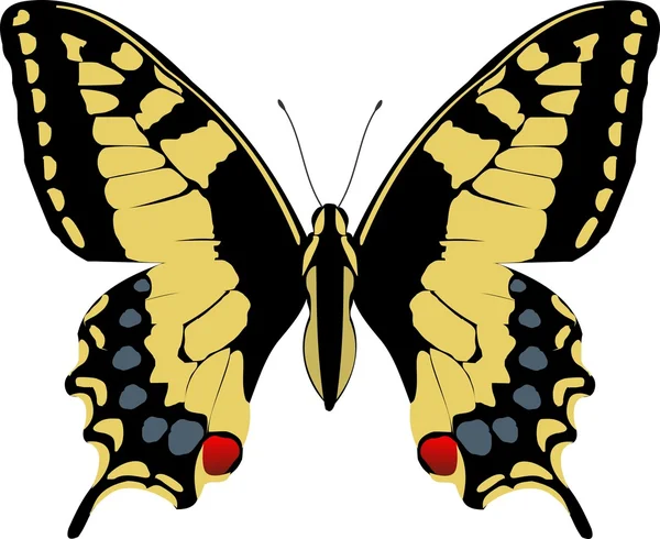 自然の中の美しいカラフルな蝶 — ストックベクタ