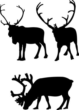 Lapland Noel Baba'dan Ren geyiği