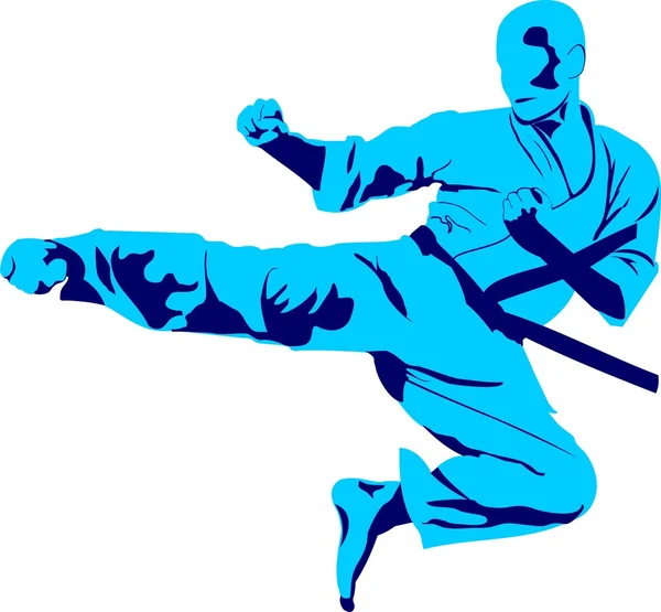 El judo es un arte marcial moderno — Vector de stock