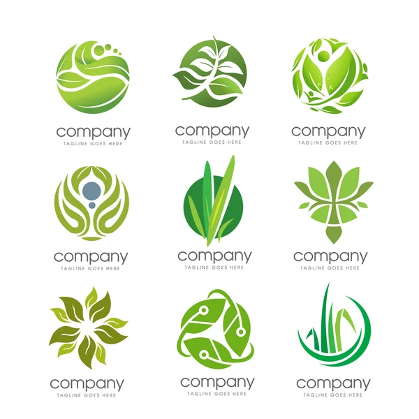 Elegantti ekologia vihreä luonnollinen lehti logo asetettu — vektorikuva