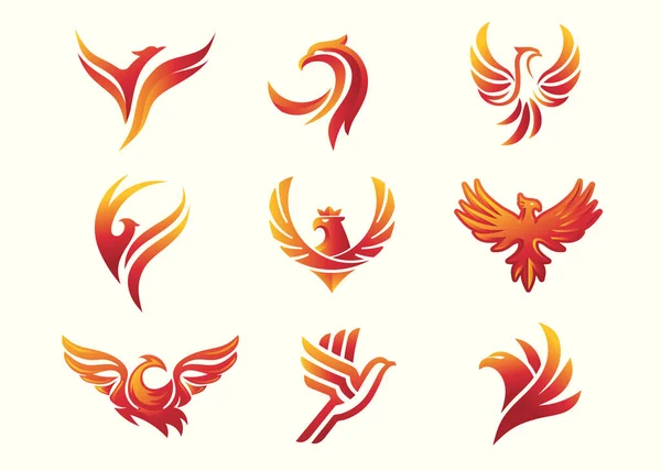 凤凰鸟标识概念 红鸟标识设计 凤凰矢量标识 神鸟创意标识 独特的鸟 从灰烬中产生的火焰 — 图库矢量图片