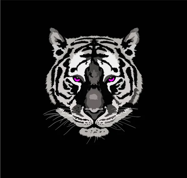 Tiger Head Vector Graphics Illustration Black White Color — Stock Vector