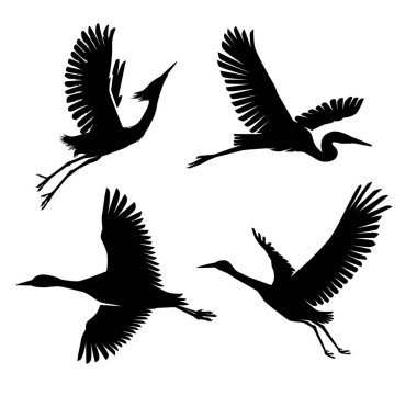 Heron ve Leylek Kuş Siluetleri koleksiyonu, sanat vektör tasarımı illüstrasyonu