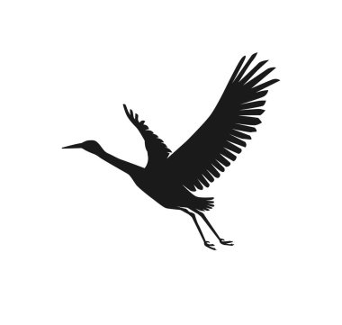 Heron ve Leylek Kuş Siluetleri, sanat vektör tasarımı illüstrasyonu