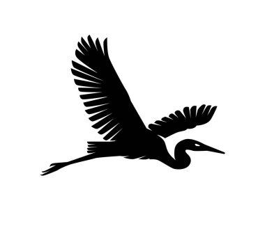 Heron ve Leylek Kuş Siluetleri, sanat vektör tasarımı illüstrasyonu