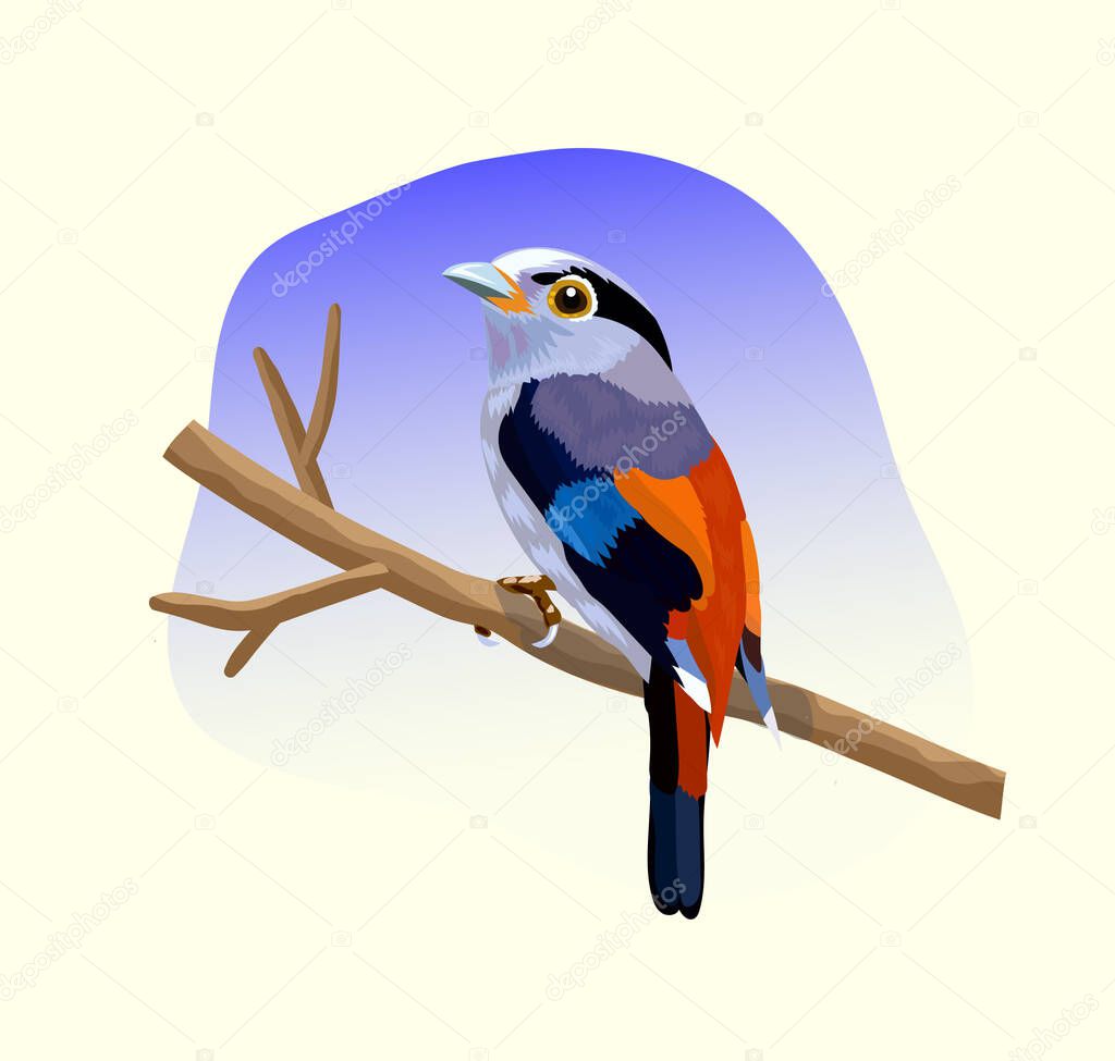 Illustration colorful beautiful bird sitting on branch vector
