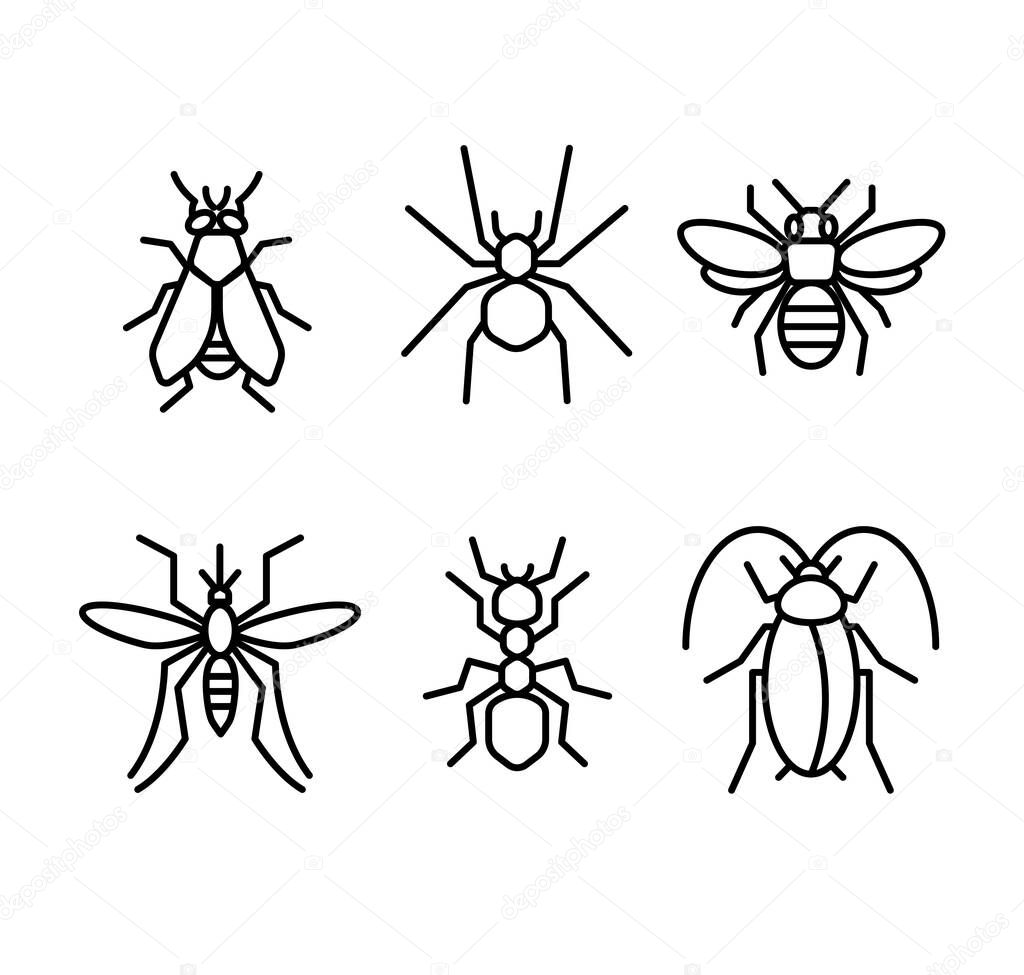 collection of Insect lines icon vector illustration