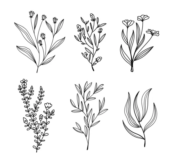 Handgezeichnete Skizze Von Einfachen Blumen Vektor Illustration — Stockvektor