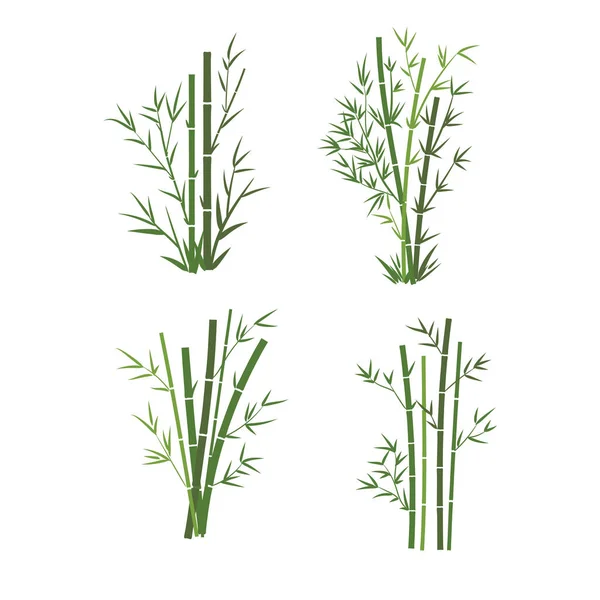 Bambu Träd Blad Vektor Illustration Växt Stam Och Stick Bambugrön — Stock vektor